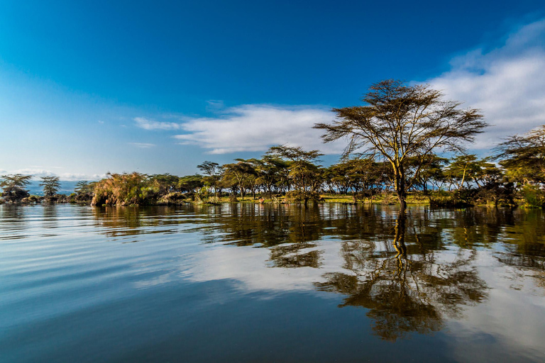 The Great Rift Escapade: Horseback Safari & Crescent Island