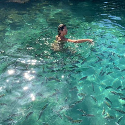 Visit Ilha Grande Nade com os peixinhos nas Lagoas Azul e Verde. in Mangaratiba