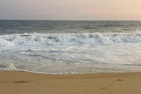 Z Huatulco: doświadczenie wypuszczania małych żółwi morskichZ Huatulco: wypuszczenie małych żółwi morskich