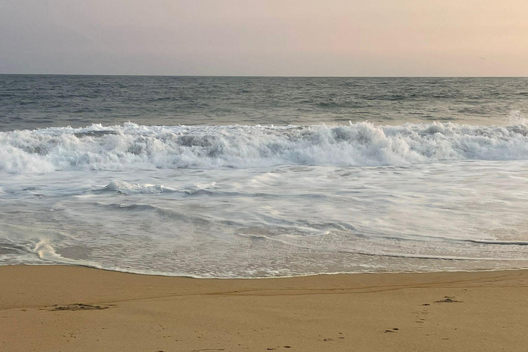 Z Huatulco: doświadczenie wypuszczania małych żółwi morskichZ Huatulco: wypuszczenie małych żółwi morskich