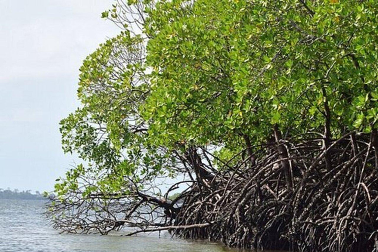 Diani: Passeio de um dia à Ilha Funzi com almoço e passeio de barcoDiani: passeio de um dia à ilha Funzi com almoço e passeio de barco