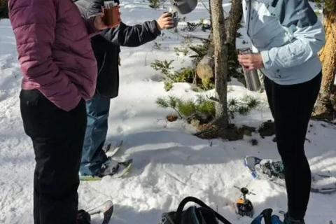 Women's Snowshoeing Tour: Rocky Mountain National Park