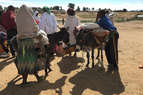 Tigray: iglesias rupestres de Gheralta, Axum y templo de YehaTigray: iglesias rupestres y montañas de Gheralta (2 días)