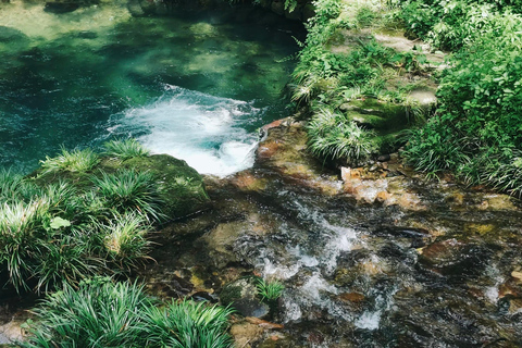 Zhangjiajie: Avatar Forest Park Group Tour or Ticket Big Group Tour with English Guide & Entry Ticket (11-16 ppl)
