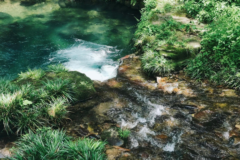 Zhangjiajie: Avatar Forest Park Group Tour or Ticket Big Group Tour with English Guide & Entry Ticket (11-16 ppl)