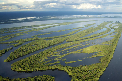 Manaus : Safari i Anavilhanas skärgård