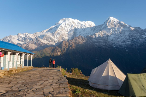 Népal : Trek du Mardi Himal - 7 jours (meilleurs treks courts au Népal)Trek du Mardi Himal : services de guide uniquement