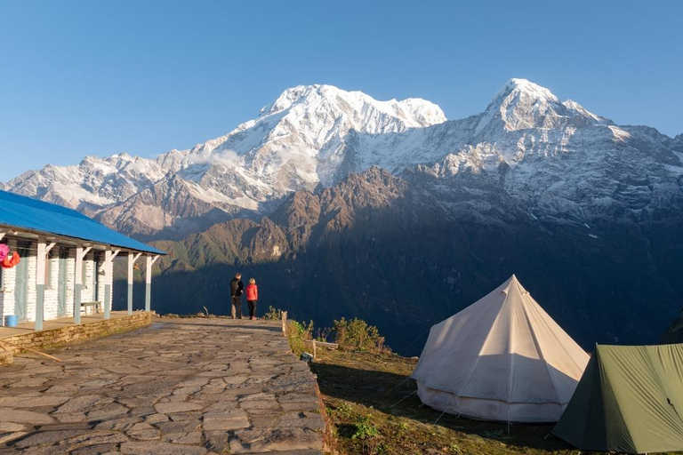 Népal : Trek du Mardi Himal - 7 jours (meilleurs treks courts au Népal)Trek du Mardi Himal : services de guide uniquement