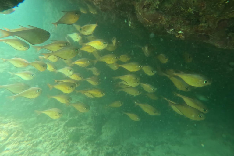 Mirissa: Night Snorkeling Adventure with Coral Reef & Fishes Mirissa: Night Snorkeling Adventure with Local Guide