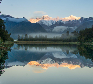 Fox Glacier image