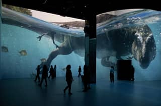 Hamburg: Port des Lumières Prähistorischer Planet: Dinosaurier