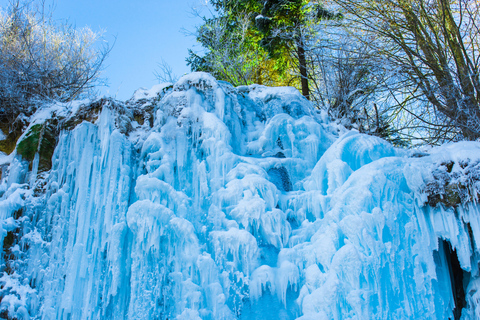 Seoul: Erdbeerfarm &amp; Winterschlitten &amp; Eobi Ice ValleyGemeinsame Tour - Treffen am DDP-Bahnhof