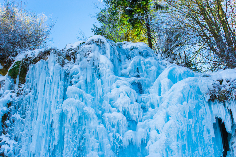 Seúl: granja de fresas, trineo de invierno y valle de hielo de EobiRecorrido compartido: punto de encuentro en la estación Myeongdong