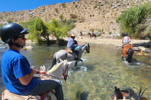 Horseback riding in the Cochiguaz River Sanctuary in the Elqui Valley.