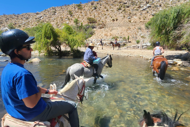 Horseback riding in the Cochiguaz River Sanctuary in the Elqui Valley.