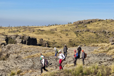 Äthiopien: 29-tägige Tour durch den Norden, Osten und Süden