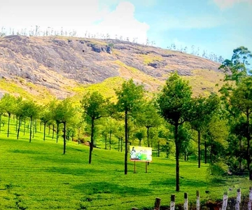Munnar: Local Highlights Day Tour with Top station Visit