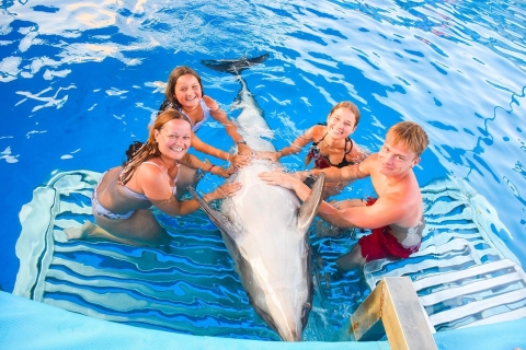 Hurghada: Rodzinne pływanie z delfinem