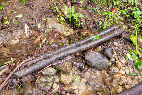 CAMINHO DO OURO - Guided tour Atlantic Forest, Waterfalls, Stories.