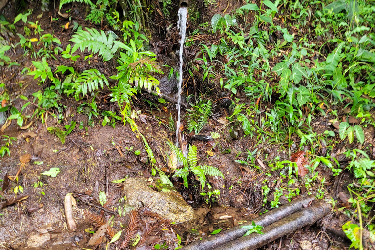 CAMINHO DO OURO - Geführte Tour durch den Atlantischen Wald, Wasserfälle und Geschichten.