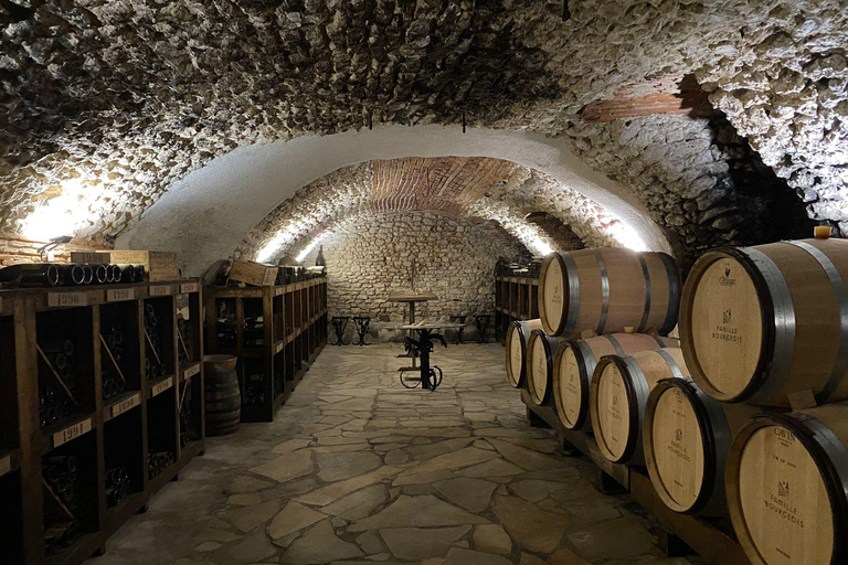 Paris: Prestige Sancerre Wine Tour with 10 Tastings & Lunch