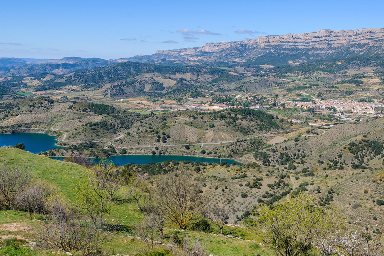 Barcelone : Visite du château de Siurana et du vignoble de Cornudella