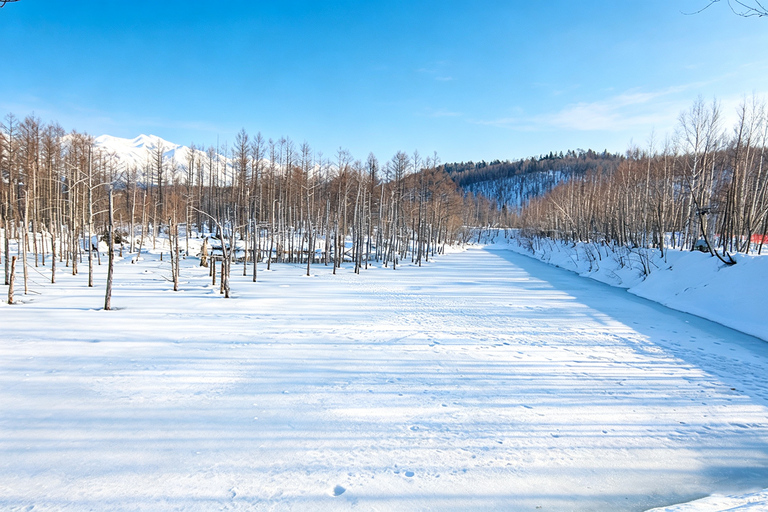 Sapporo: Asahiyama Zoo, Blue Pond & Chiyoda Farm Day Tour Private Sightseeing Tours