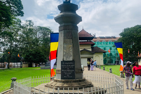 Visite multijours au Sri LankaVisites multijours et visites à la journée