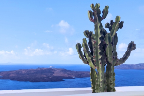Santorini: tour panorámico de Firostefani y Oia en minibúsTour semiprivado de 3 horas