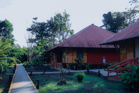 Amazon Adventure: 4 Days of Nature &amp; Culture from Quito