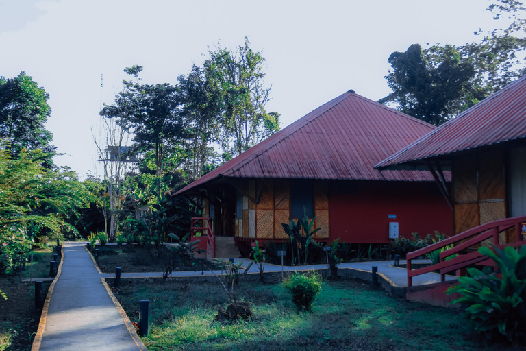 Amazon Adventure: 4 Days of Nature &amp; Culture from Quito