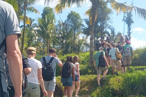 特特巴图：瀑布、香料、梯田、猴子森林特特巴图之旅、香料、瀑布、梯田、猴林