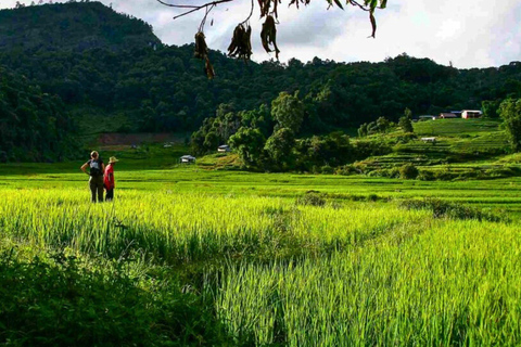 Chiang Mai: Park Narodowy Doi Inthanon i trekking Pha Dok Siew