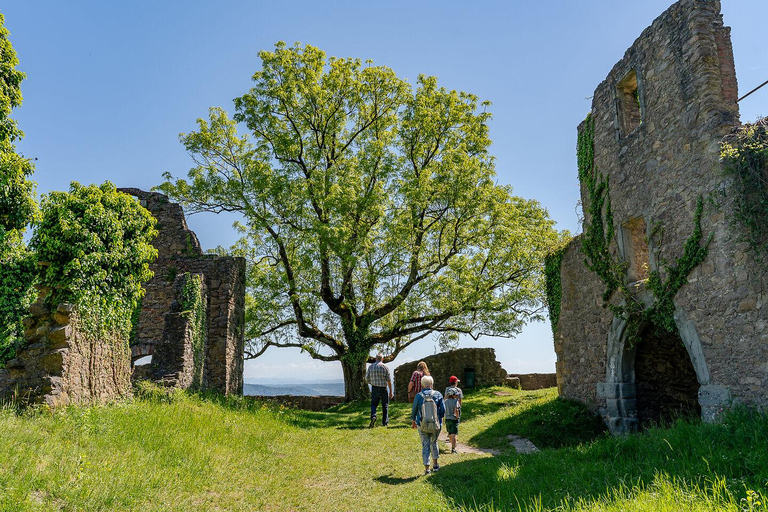 Singen: Guided tour of the Hohentwiel fortress ruins with a castle researcher Singen: Guided tour with a castle researcher through the Hohentwiel fortress ruins