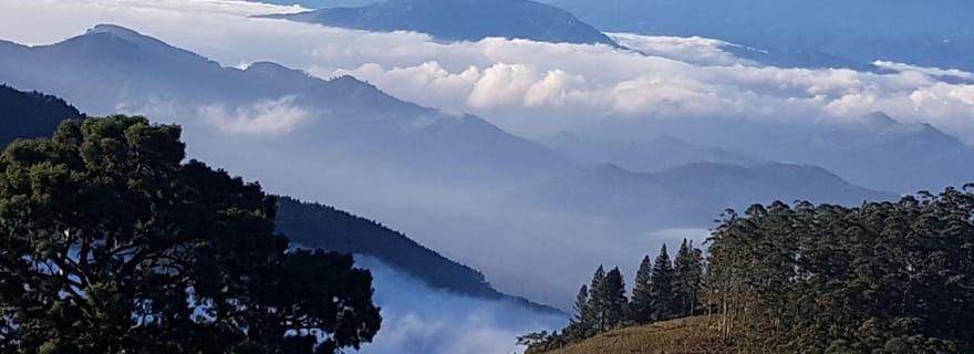 Excursion exclusive en camping au départ de Kandy