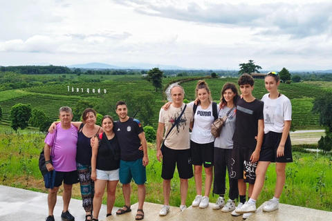 Chiang Rai:Guided Highlights Full-Day Tour-FREE LUNCH BUFFET Experience the Wonders of Chiang Rai with Free Thai Buffet
