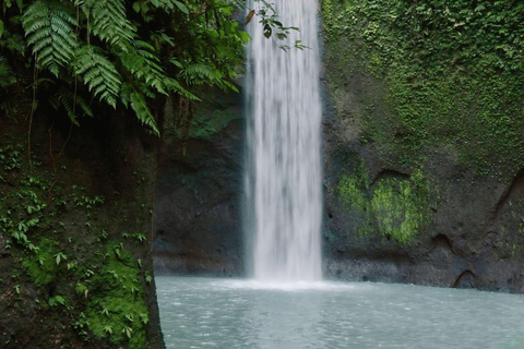 Ubud : Visite privée des cascades cachées et des rizières en terrassesVisite privée sans billet d&#039;entrée