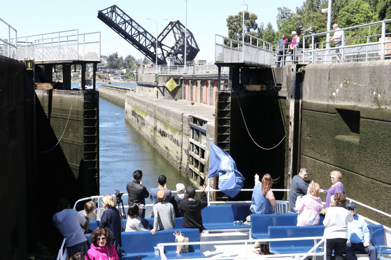 Seattle: Locks Cruise with Local Guide Departs From AGC Marina/Lake Union with Return Bus