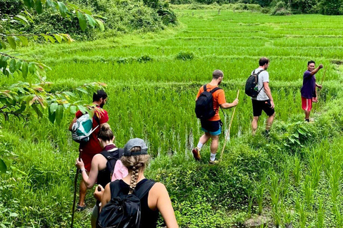 Chiang Mai: Jungle Trek, Elephants care & Bamboo Rafting