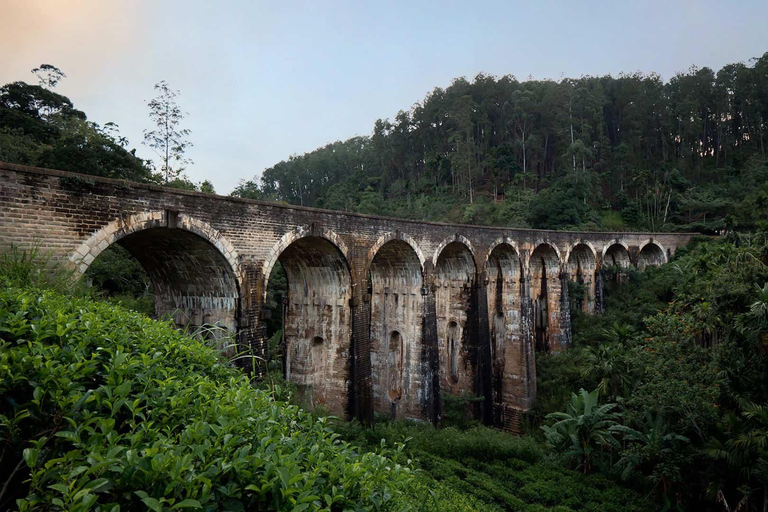 Excursion d&#039;une journée à Ella : avec visite d&#039;une fabrique de thé depuis Galle