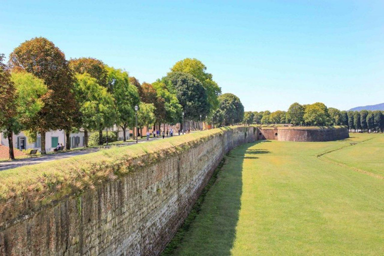 Tour privato di Pisa e Lucca e biglietto per la Torre Pendente