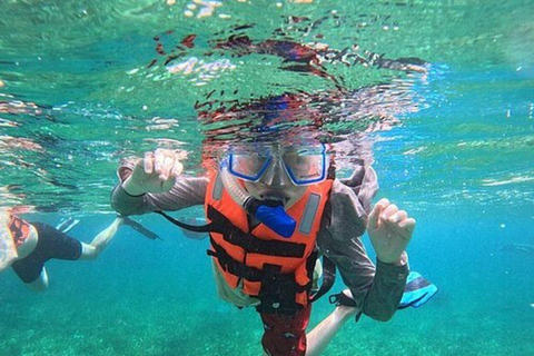 Aqaba: Private Boat Tour with Snorkeling and Lunch