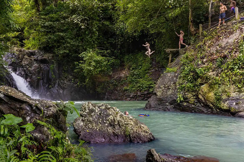 North Bali: Dolphin Swim, Snorkeling, & Waterfall Cliff Jump Small Group With Hotel Transfer Central Bali
