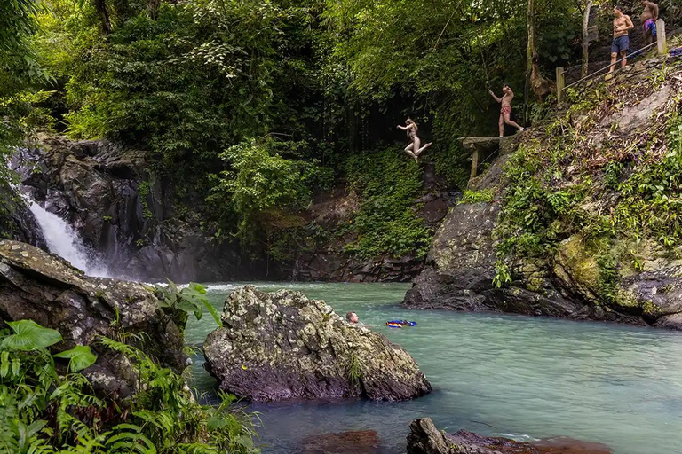 North Bali: Dolphin Swim, Snorkeling, & Waterfall Cliff Jump Small Group With Hotel Transfer Central Bali