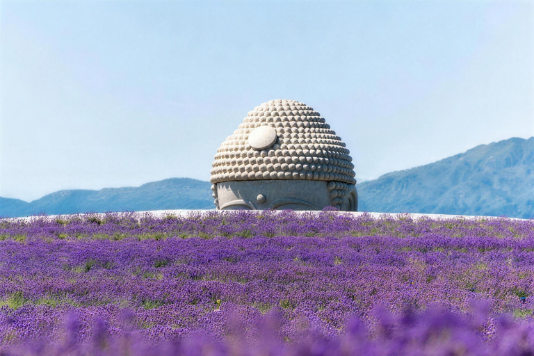Sapporo: Hill of the Buddha, Lake Toya & Hell Valley Day Tour Only (No Tickets)