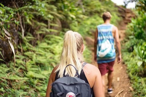 Katmandú: excursión de un día al Parque Nacional de ShivapuriExcursión a Shivapuri con guías y aperitivos incluidos.