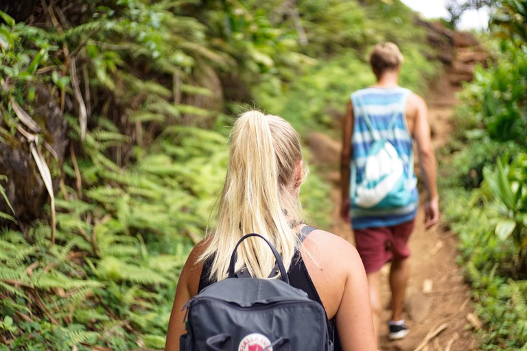 Katmandú: excursión de un día al Parque Nacional de ShivapuriExcursión a Shivapuri con guías y aperitivos incluidos.