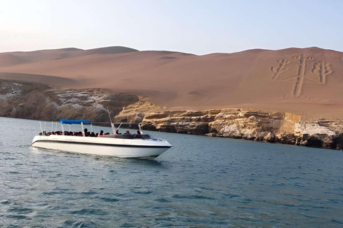 From Paracas: Ballestas Islands and Paracas National Reserve Ballestas Islands tour only