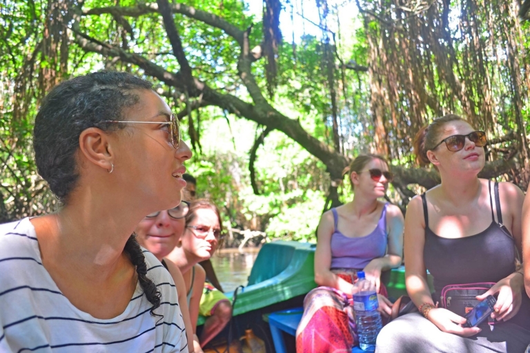 Desde Bentota: excursión privada de un día a Galle con safari por el río