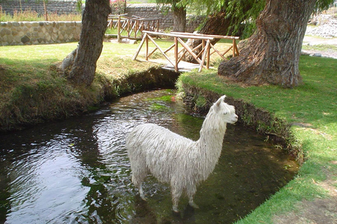 Arequipa: Sightseeing Tour of the Molino de Sabandía and the Andenes de Paucarpata
